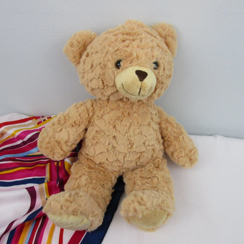 🐻Host Pick🐻 Cloud Island 15" Plush Teddy Bear